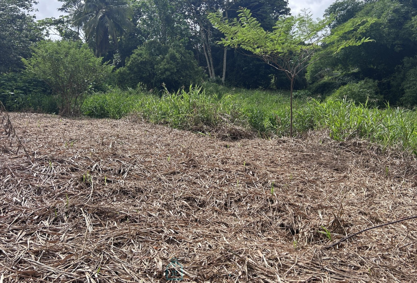 vente Terrain constructible Le Lamentin - Photo 2