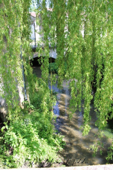 vente Maison bourgeoise Barbezieux Saint Hilaire - Photo 8