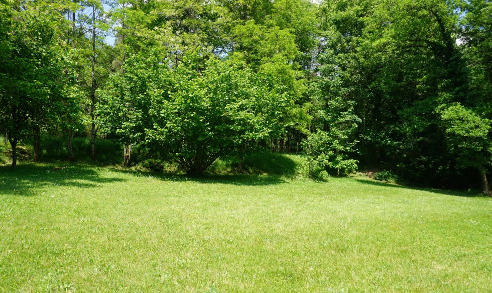 vente Saint Pardoux La Riviere