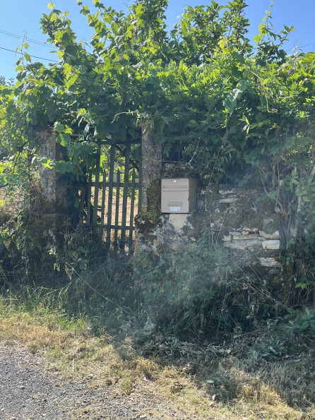 vente Maison et dépendances Montignac - Photo 7