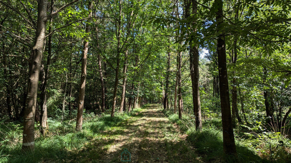 vente Corps de ferme Camors - Photo 1