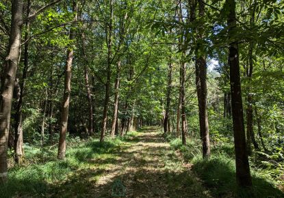 vente Corps de ferme Camors