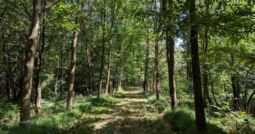 vente Corps de ferme Camors