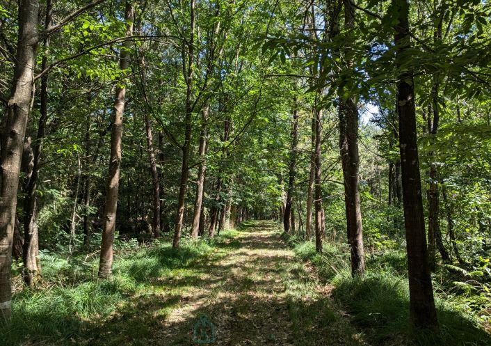vente Corps de ferme Camors