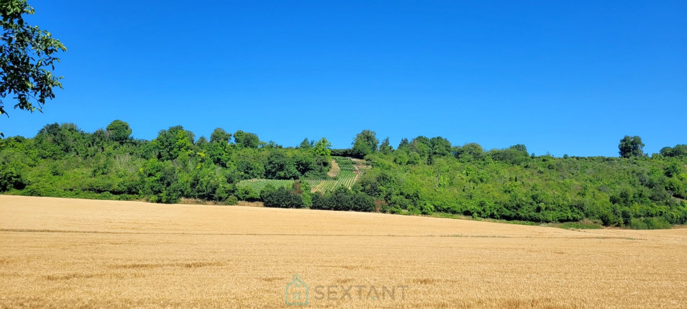 vente Terrain viticole Jonchery Sur Vesle - Photo 2