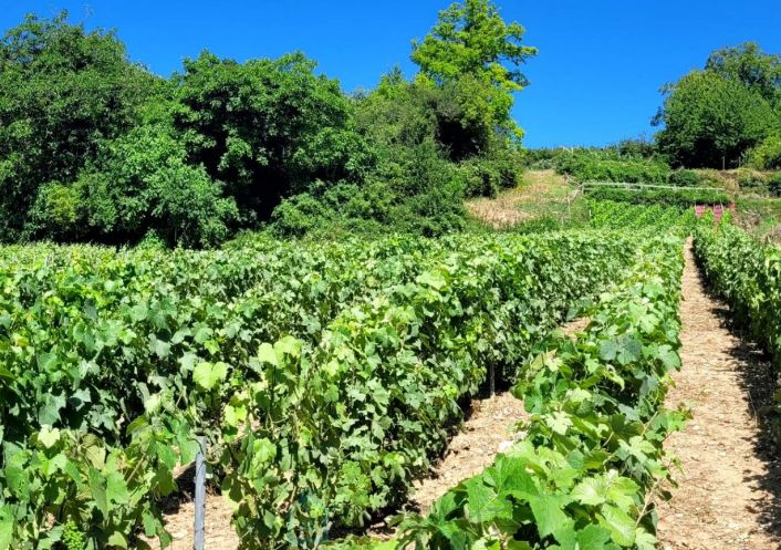 vente Terrain viticole Jonchery Sur Vesle