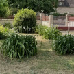 vente Ensemble immobilier Saint Pierre D'eyraud