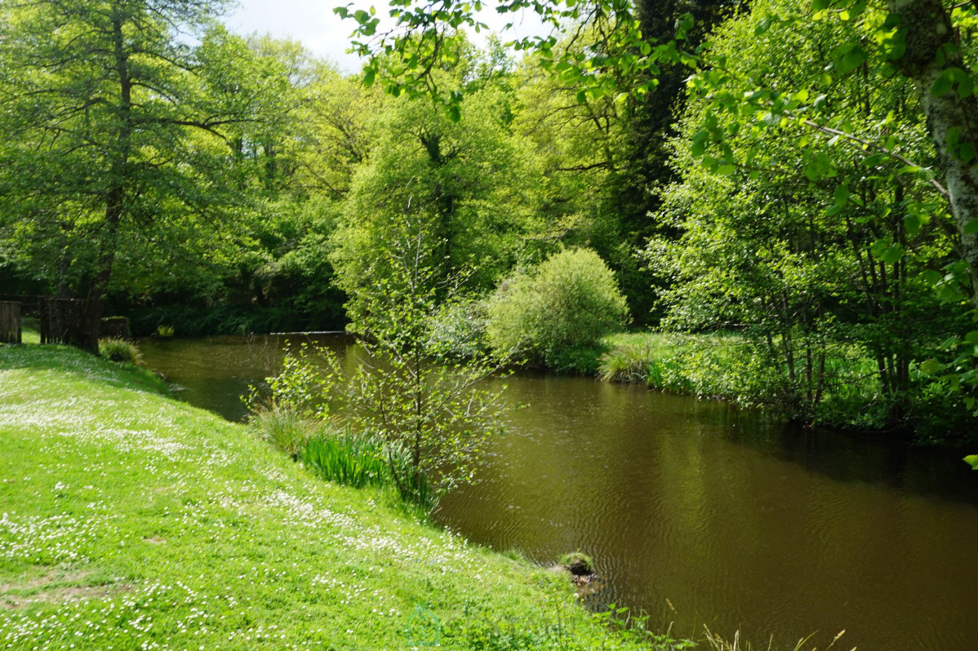 vente Domaine Savignac De Nontron - Photo 15