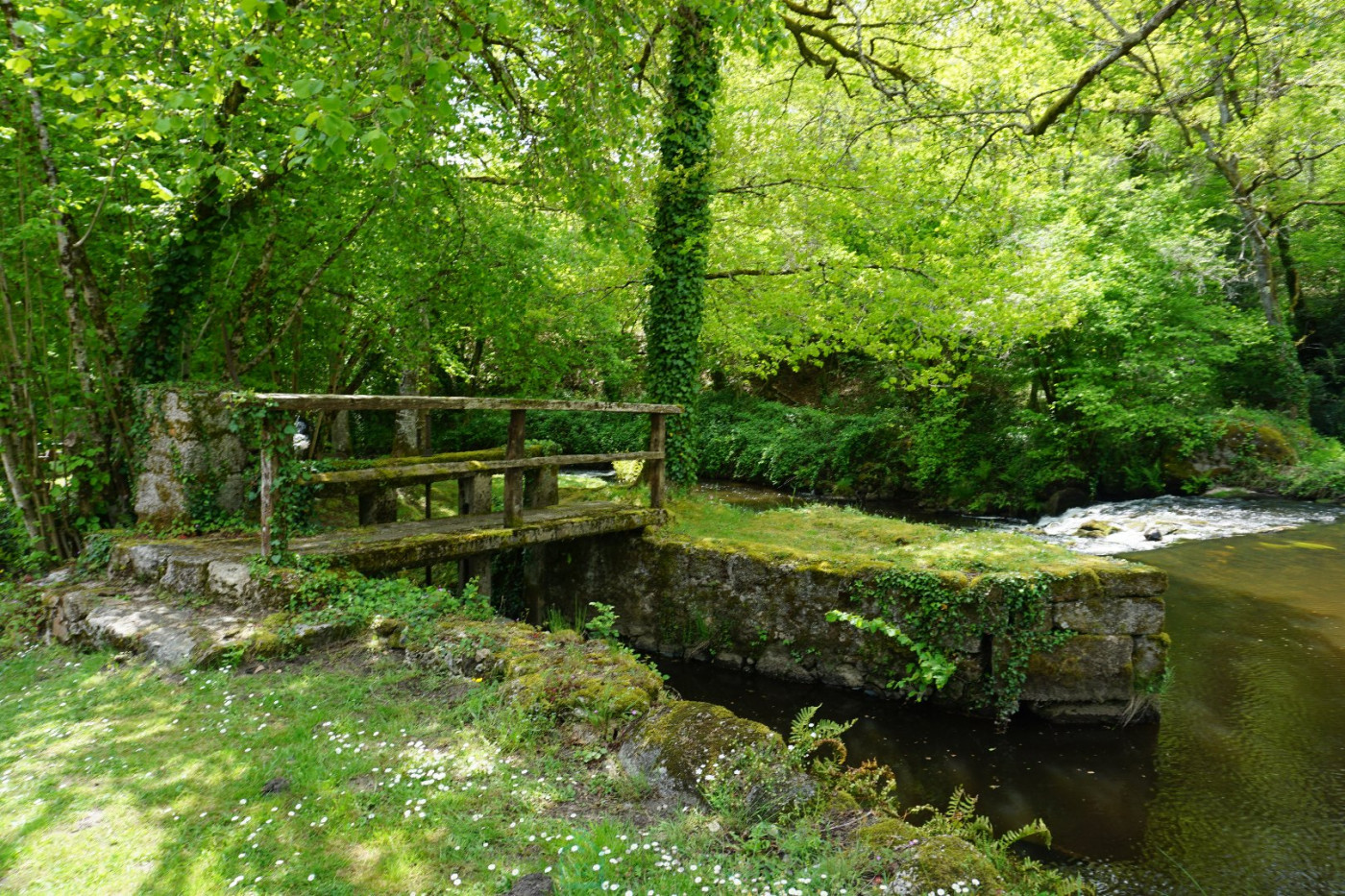vente Domaine Savignac De Nontron - Photo 12