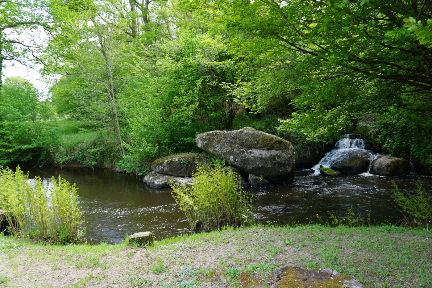 vente Domaine Savignac De Nontron - Photo 11