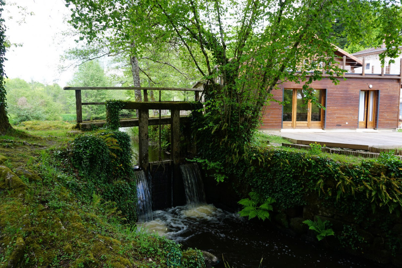 vente Domaine Savignac De Nontron - Photo 18