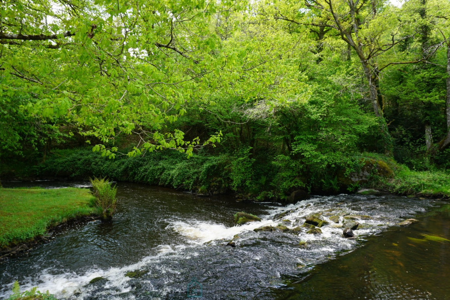 vente Domaine Savignac De Nontron - Photo 10