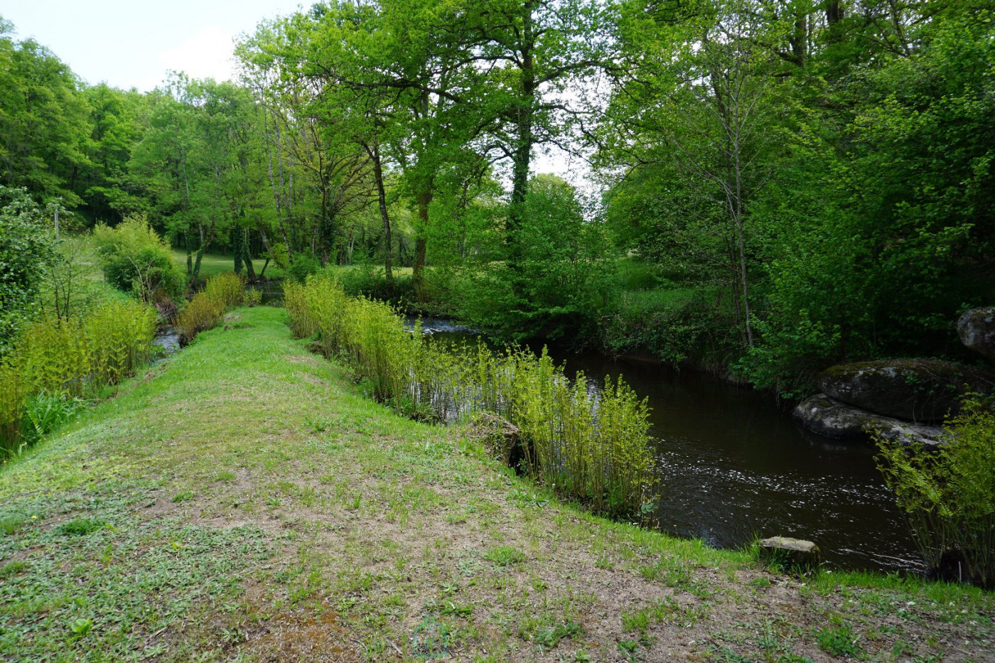 vente Domaine Savignac De Nontron - Photo 13
