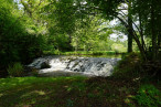 vente Domaine Savignac De Nontron