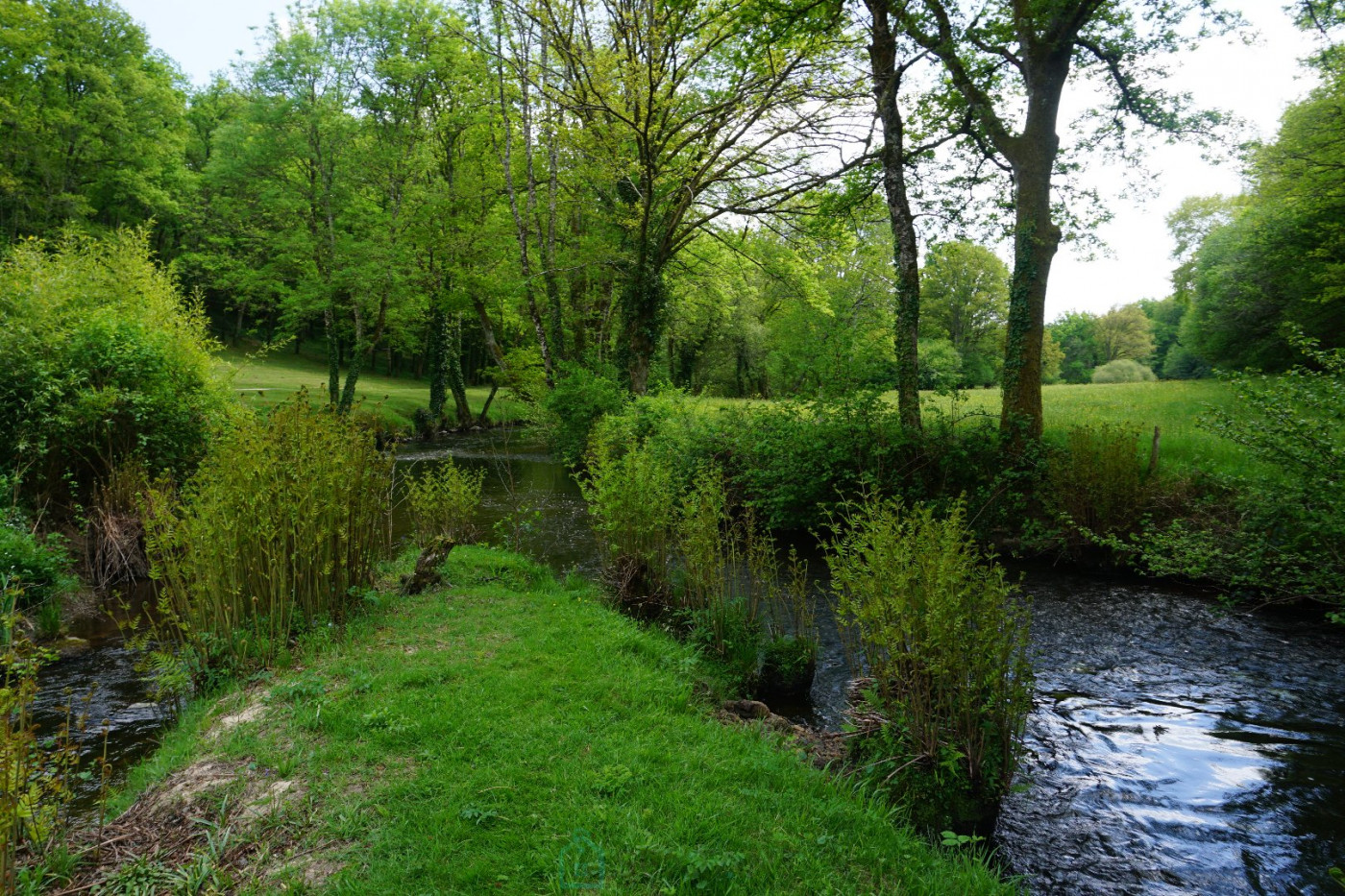 vente Domaine Savignac De Nontron - Photo 14