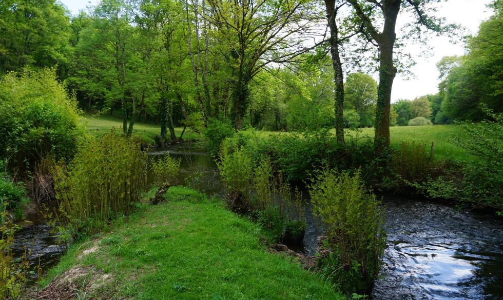 vente  Savignac De Nontron