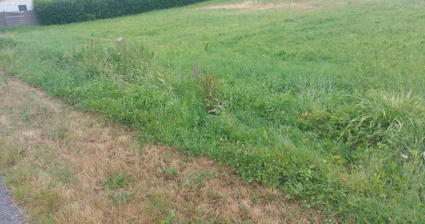 vente Terrain constructible Sarrazac