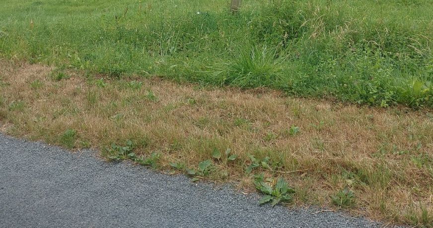 vente Terrain constructible Sarrazac