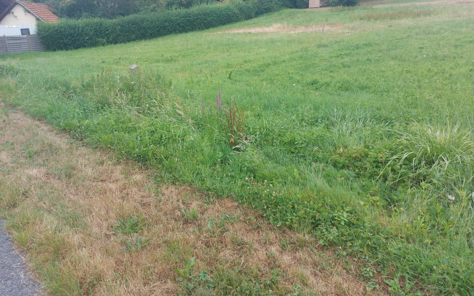 vente Terrain constructible Sarrazac - Photo 3