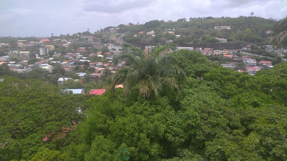 vente Appartement en résidence Fort De France - Photo 9