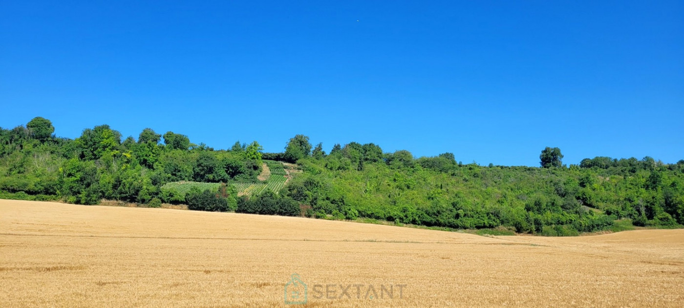 vente Terrain viticole Epernay - Photo 2