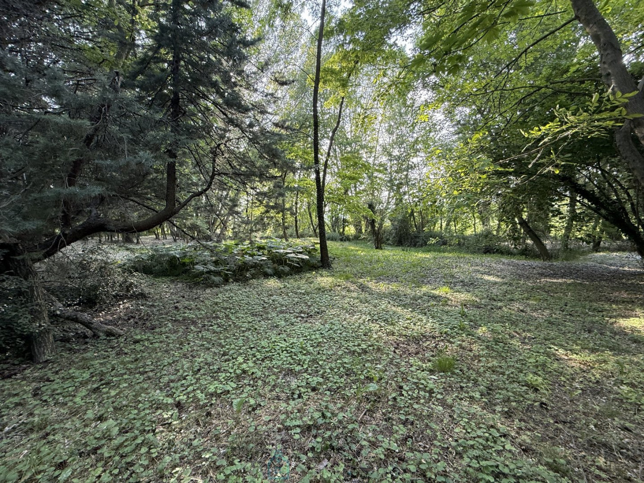 vente Domaine Reillanne - Photo 17