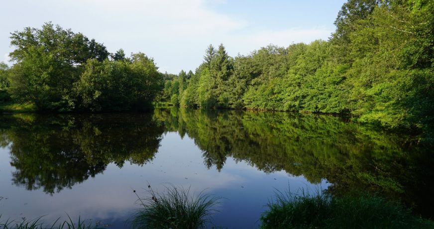 vente Propriété Busserolles