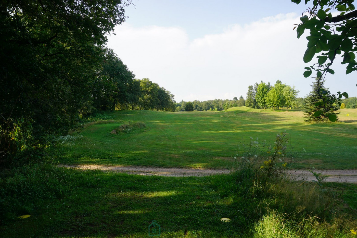vente Propriété Busserolles - Photo 24
