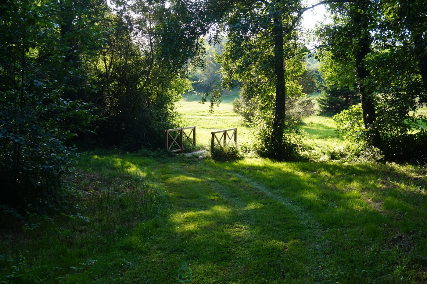 vente Propriété Busserolles - Photo 18
