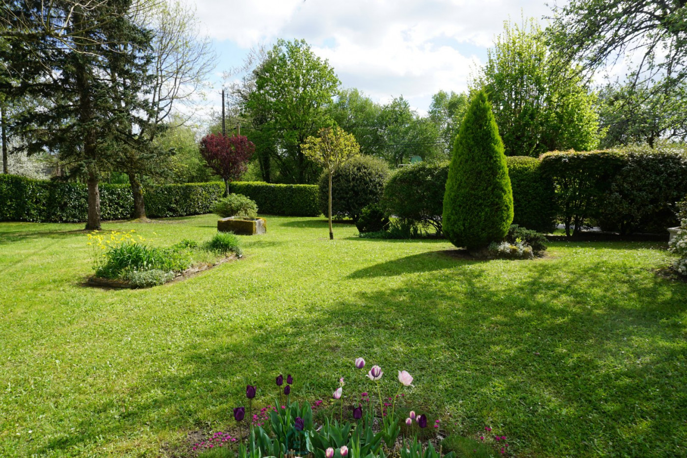vente Corps de ferme Saint Jory De Chalais - Photo 9