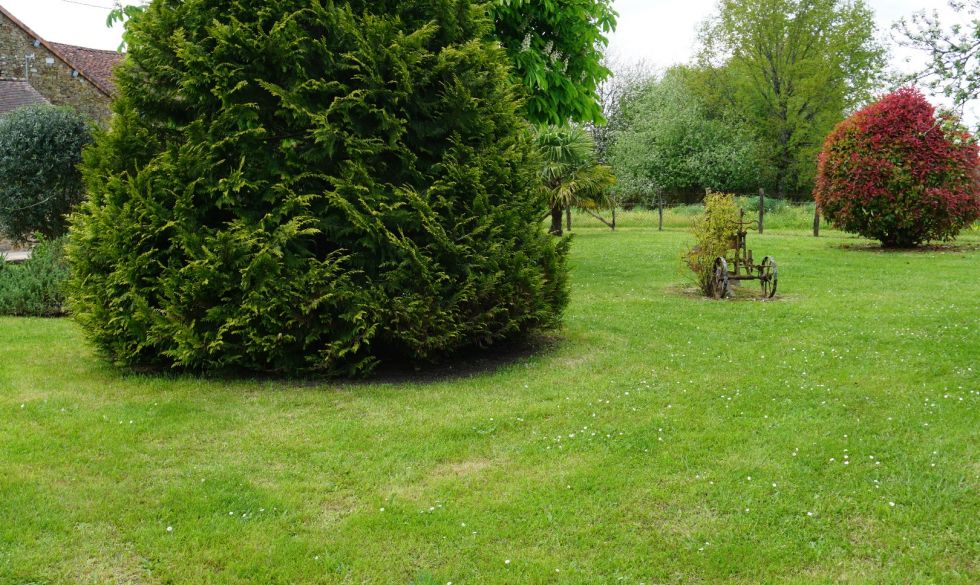 vente  Saint Jory De Chalais