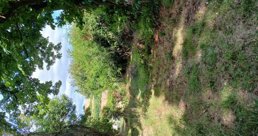 vente Ensemble immobilier Riberac