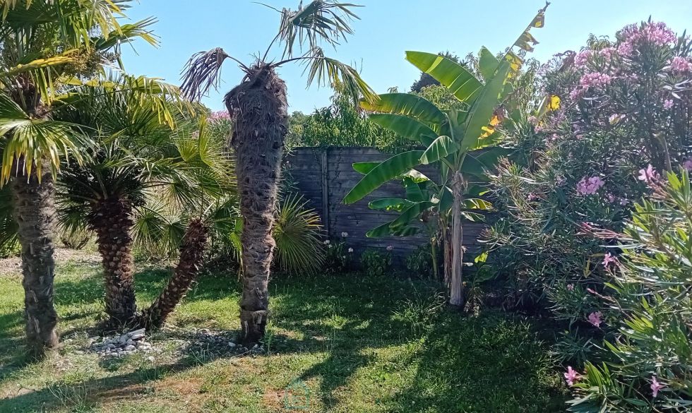 vente Saint Sulpice De Royan