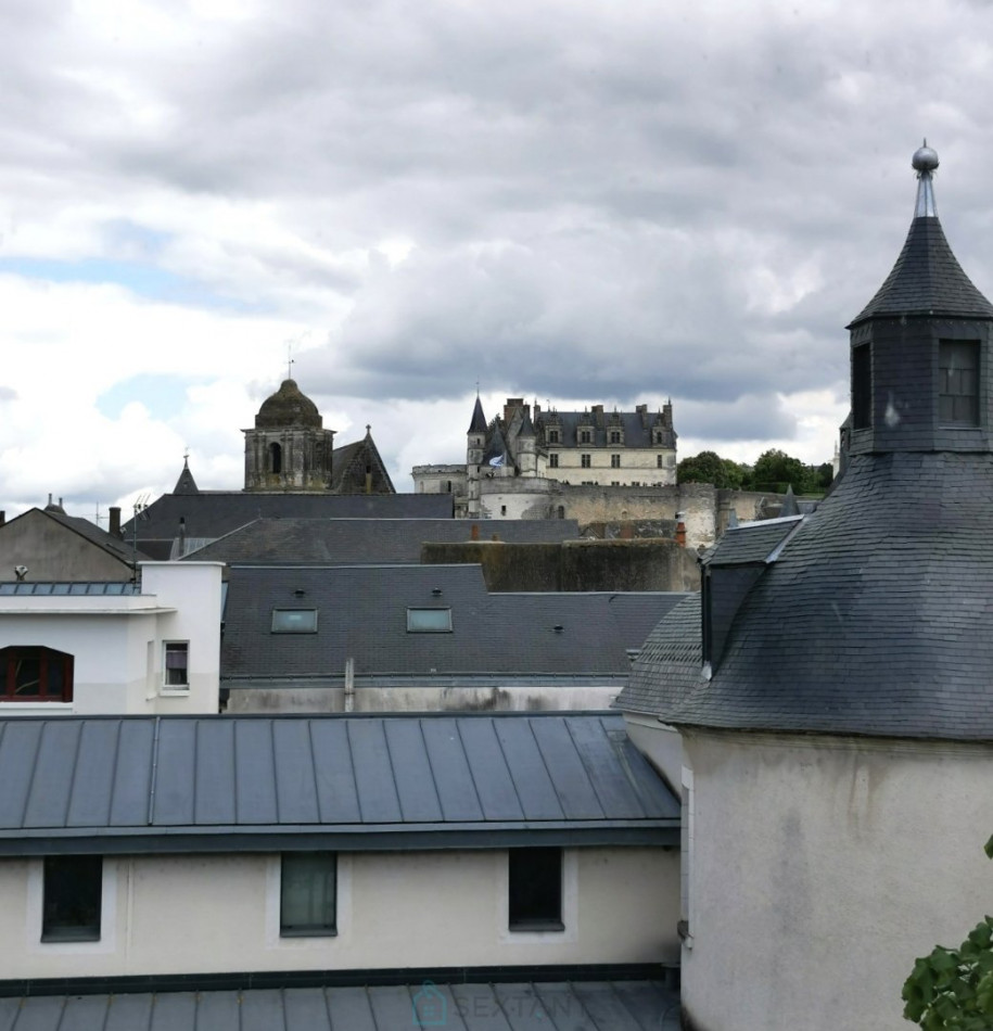 vente Appartement Amboise - Photo 4