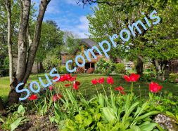 vente Fontainebleau