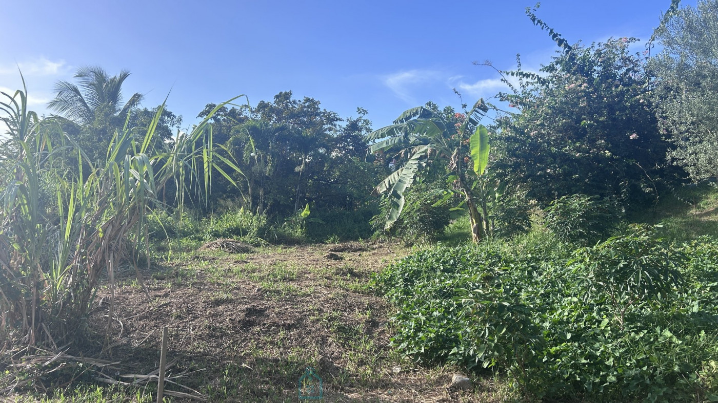 vente Terrain constructible Riviere Salee - Photo 2