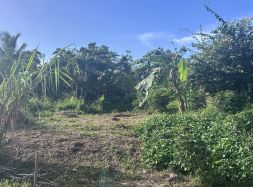 vente Riviere Salee