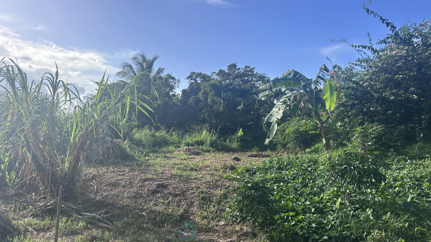 vente Terrain constructible Riviere Salee - Photo 3