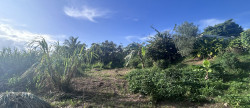 vente Terrain constructible Riviere Salee