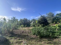 vente Riviere Salee
