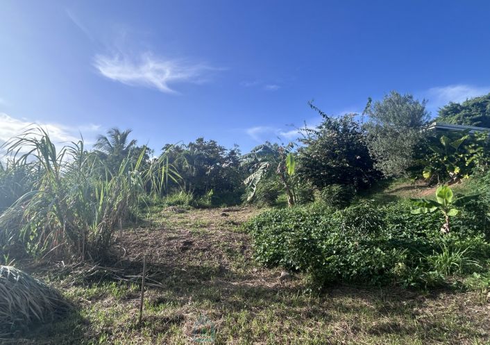 vente Terrain constructible Riviere Salee