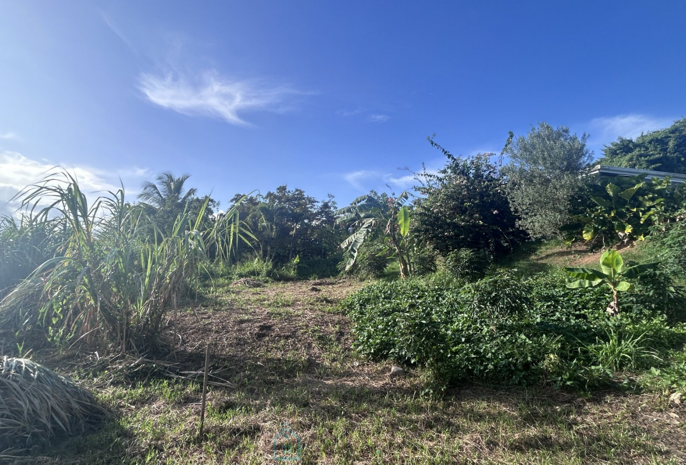 vente Terrain constructible Riviere Salee - Photo 1