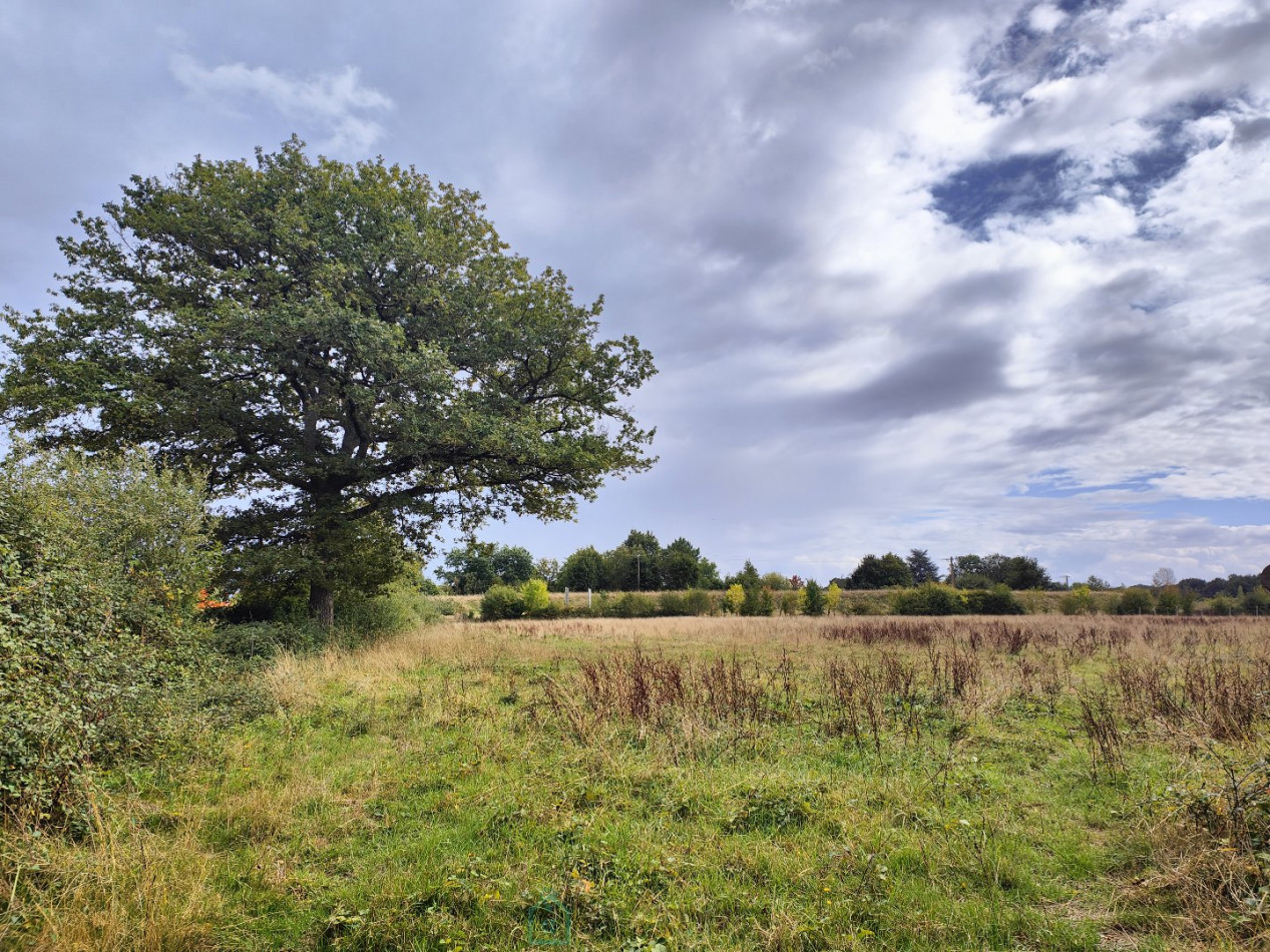 vente Maison de caractère Chateau La Valliere - Photo 19
