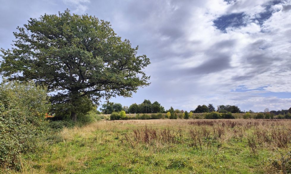 vente Chateau La Valliere