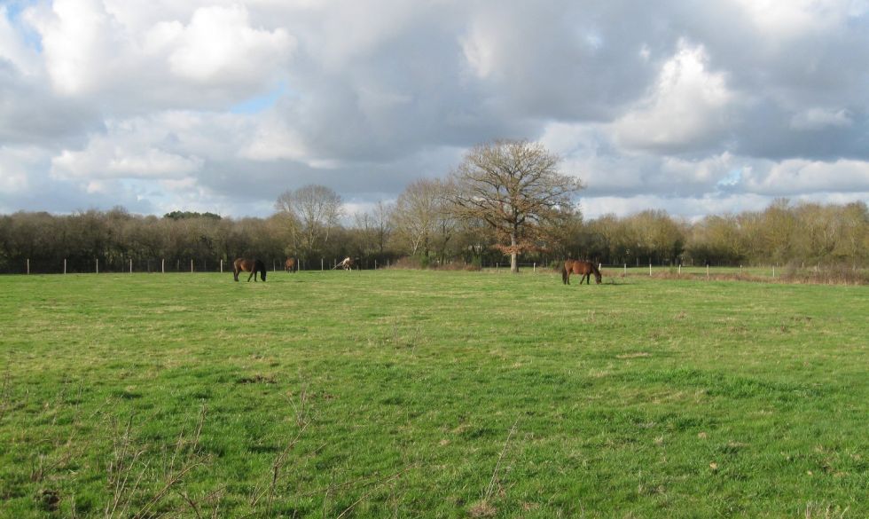 vente Chateau La Valliere