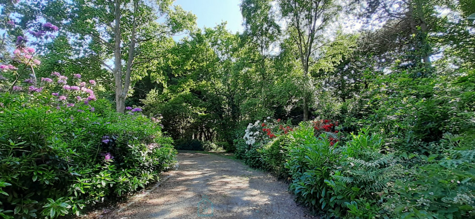 vente Château Saint Leonard - Photo 6