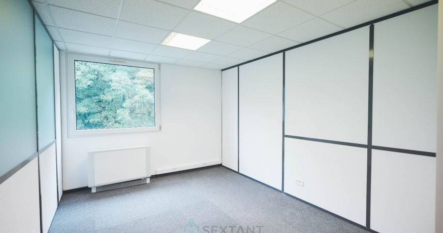 vente Local commercial Oberhausbergen