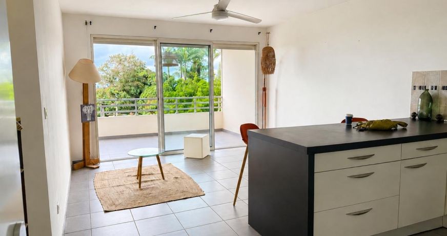 vente Appartement Fort De France