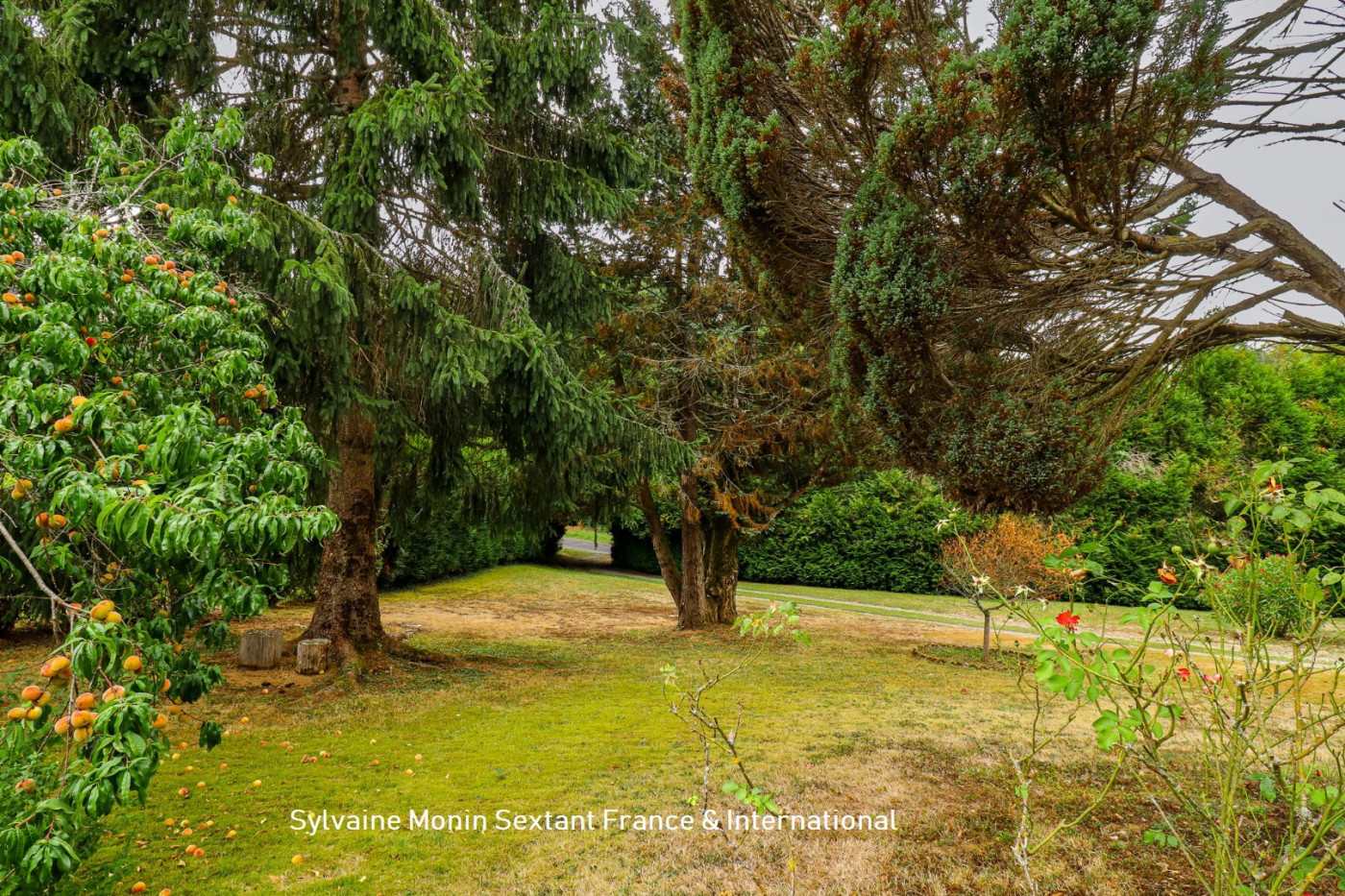 vente Maison individuelle Lanouaille - Photo 5