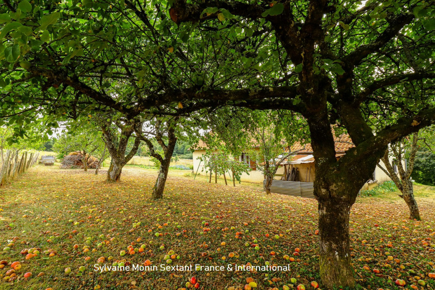 vente Maison individuelle Lanouaille - Photo 10